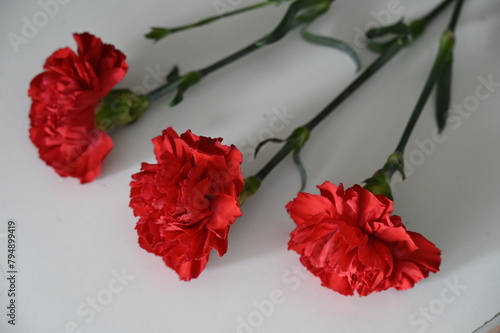 Oeillets rouges portugal dictature révolution