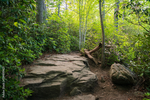 Hiking Trail Along the Ridge at New River Gorge National Park and Preserve in southern West Virginia in the Appalachian Mountains photo