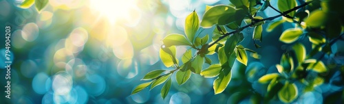 Blurred spring background with blue sky and green trees photo