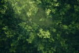 Aerial view of a dense forest with vibrant green leaves under sunlight