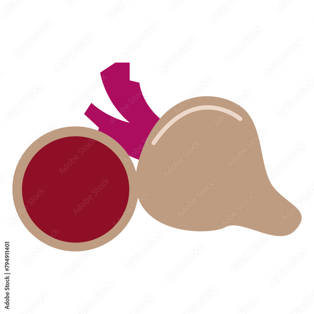 Beetroot Illustration Beetroot Illustration