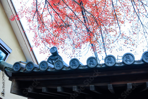瑞泉寺総門。
紅葉と鬼瓦が素敵である。

日本国神奈川県鎌倉市にて。
2021年12月19日撮影。

二階堂にある瑞泉寺。
鎌倉時代1327年創建。
鎌倉でも随一の花の寺、紅葉の寺として有名。
境内は日本国の史跡に指定され、庭園は日本国の名勝となっている。日本国の重要文化財の坐像なども多くある。
The main gate of Zuisenji Temple.
The autumn leaves photo