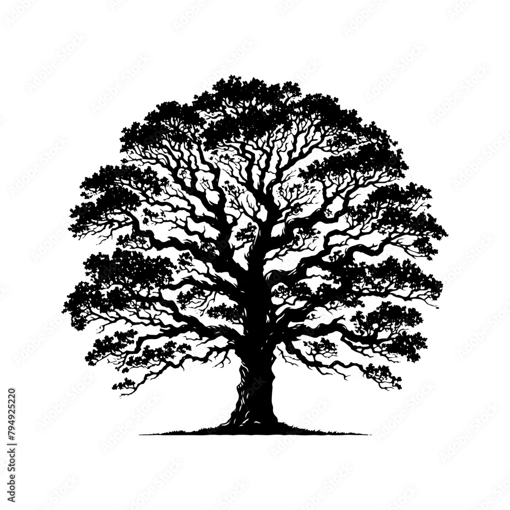 Vector Silhouette of Oak Tree- Capturing the Majestic Presence and Timeless Beauty of Nature.- Oak Tree Illustration- Oak Tree Vector Vector Silhouette of Oak Tree- Capturing the Majestic Presence and Timeless Beauty of Nature.- Oak Tree Illustration- Oak Tree Vector