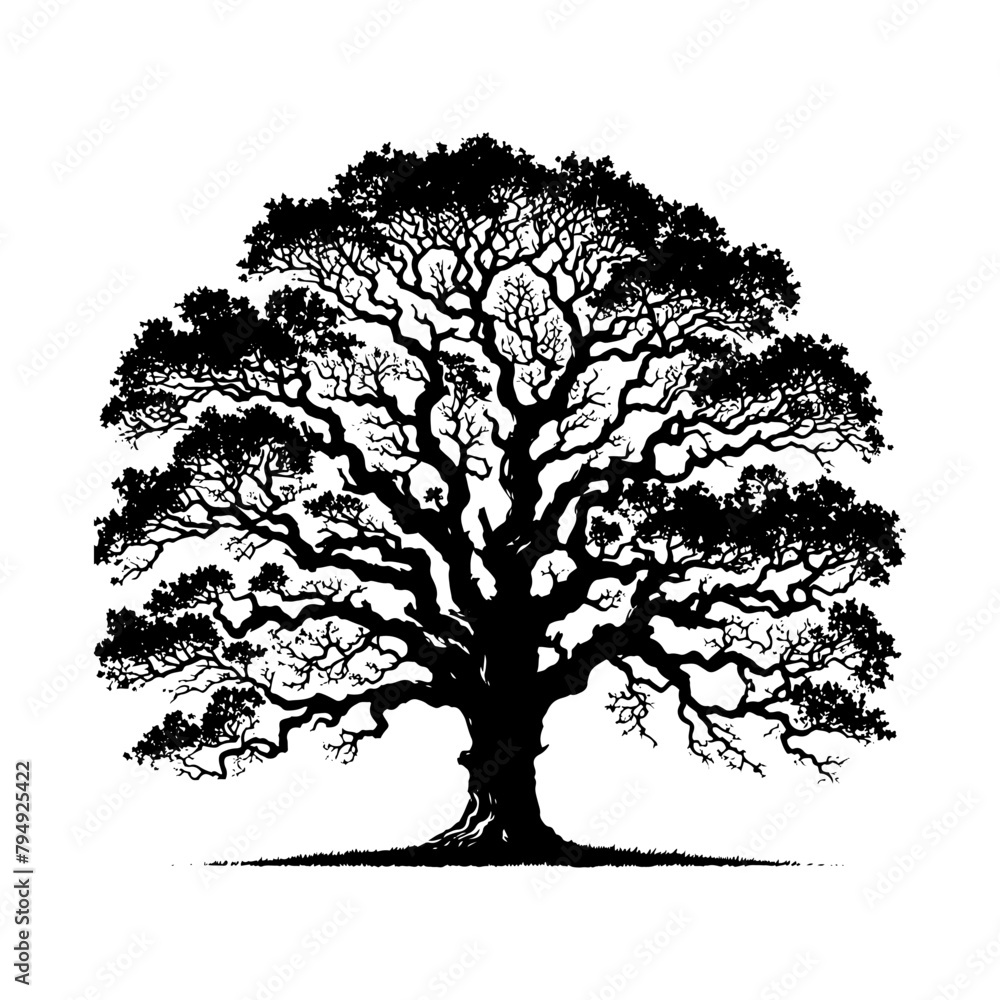 Fototapeta premium Vector Silhouette of Oak Tree- Capturing the Majestic Presence and Timeless Beauty of Nature.- Oak Tree Illustration- Oak Tree Vector
