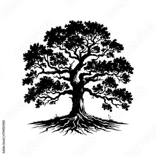  Vector Silhouette of Oak Tree- Capturing the Majestic Presence and Timeless Beauty of Nature.- Oak Tree Illustration- Oak Tree Vector