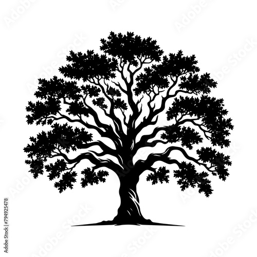  Vector Silhouette of Oak Tree- Capturing the Majestic Presence and Timeless Beauty of Nature.- Oak Tree Illustration- Oak Tree Vector