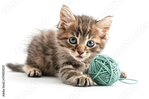 A small kitten playing with a ball of yarn