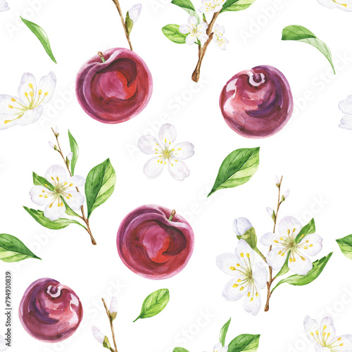 Plum botanical seamless pattern, watercolour illustration  © Ann Lou