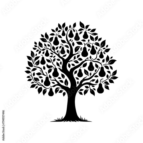 Pear Tree Vector Silhouette- Tranquil Beauty of Nature's In Illustration Form- Illustration Of Pear Tree- Vector Of Pear Tree.