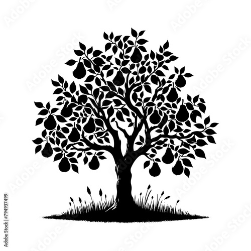 Pear Tree Vector Silhouette- Tranquil Beauty of Nature's In Illustration Form- Illustration Of Pear Tree- Vector Of Pear Tree.