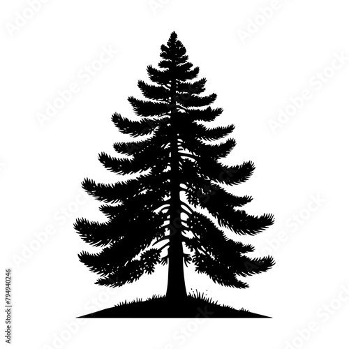 Pine Tree Vector Silhouette- Echoing the Serene Presence of Nature's Towering Evergreen- Pine tree Illustration. 