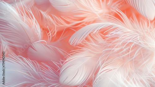 Soft Feather Pattern Texture for Baby's Nap