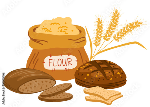 Grain food, cereal products. Bread, bakery, wheat flour in bag and bowl, pasta, cookies. Healthy carbohydrate nutritions, nutrients composition. Vector illustration isolated on white
