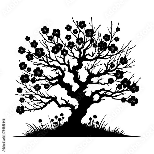 Plum Tree Vector Silhouette- Embodies the Serene Beauty of Nature's Fruitful Bounty- Plum Tree Illustration