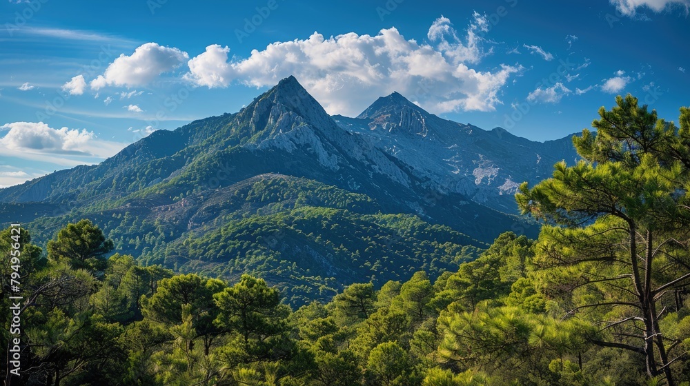 Landscape of a green mountain peak against a blue sky with green tree branches on canvas in Catalonia Pyrenees