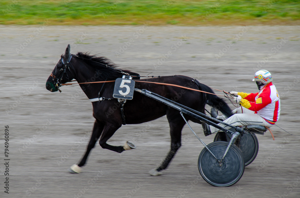 Racing horses trots and rider on a track of stadium. Competitions for trotting horse racing. Horses compete in harness racing. Horse runing at the track with rider.
Racing horses trots and rider on a track of stadium. Competitions for trotting horse racing. Horses compete in harness racing. Horse runing at the track with rider.