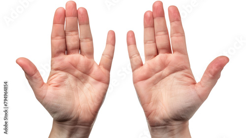flat human open hands holding or presenting something isolated on white or transparent png
