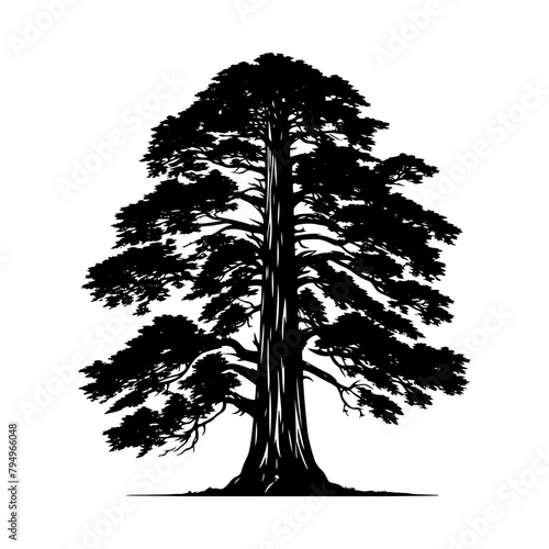 Crimson Giants: Professional Redwood Tree Vector Silhouette for Natural Landscape Designs.- Redwood Tree Illustration.