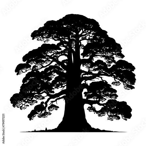 Sequoia Vector Silhouette- Depicting the Grandeur of Nature's Towering Sequoia Trees- Sequoia Tree Illustration.