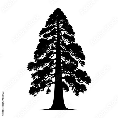 Sequoia Vector Silhouette- Depicting the Grandeur of Nature's Towering Sequoia Trees- Sequoia Tree Illustration.