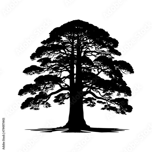 Sequoia Vector Silhouette- Depicting the Grandeur of Nature's Towering Sequoia Trees- Sequoia Tree Illustration.