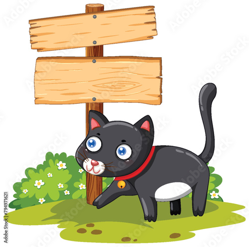 Cute black cat with a red collar by signboards.