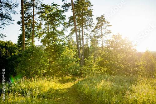 Stirniai mound surrounded with green trees, located near Vilnius, Lithuania, on sunny summer day. photo