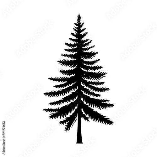 Spruce Tree Vector Silhouette Showcasing the Timeless Beauty- Spruce Tree Illustration- Minimalist Spruce Tree vector. photo