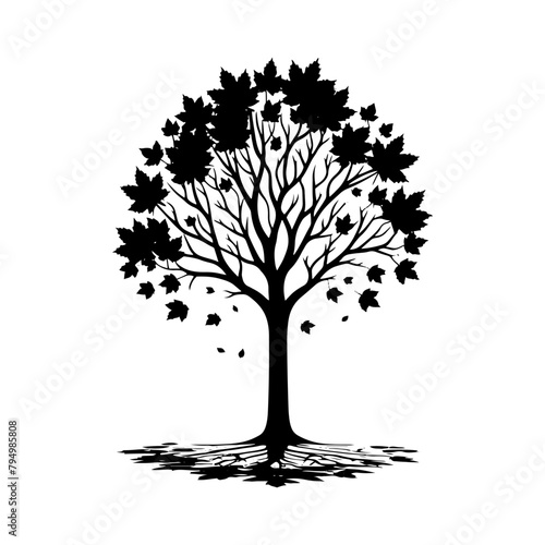  Sycamore Tree Vector silhouette- Portraying the Graceful Presence of Sycamore Tree- Illustration of Sycamore Tree- Sycamore tree portrait.