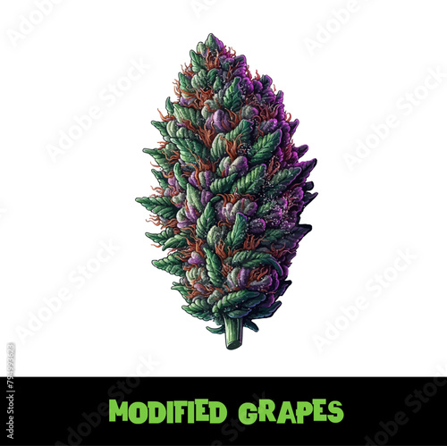 Vector Illustrated Modified Grapes Cannabis Bud Strain Cartoon