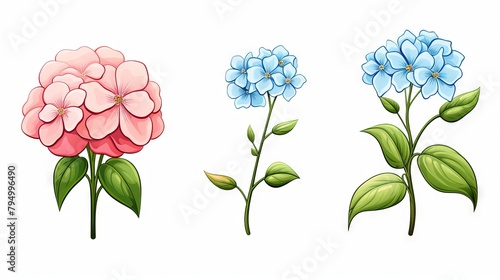 Three flowers in different stages of bloom.