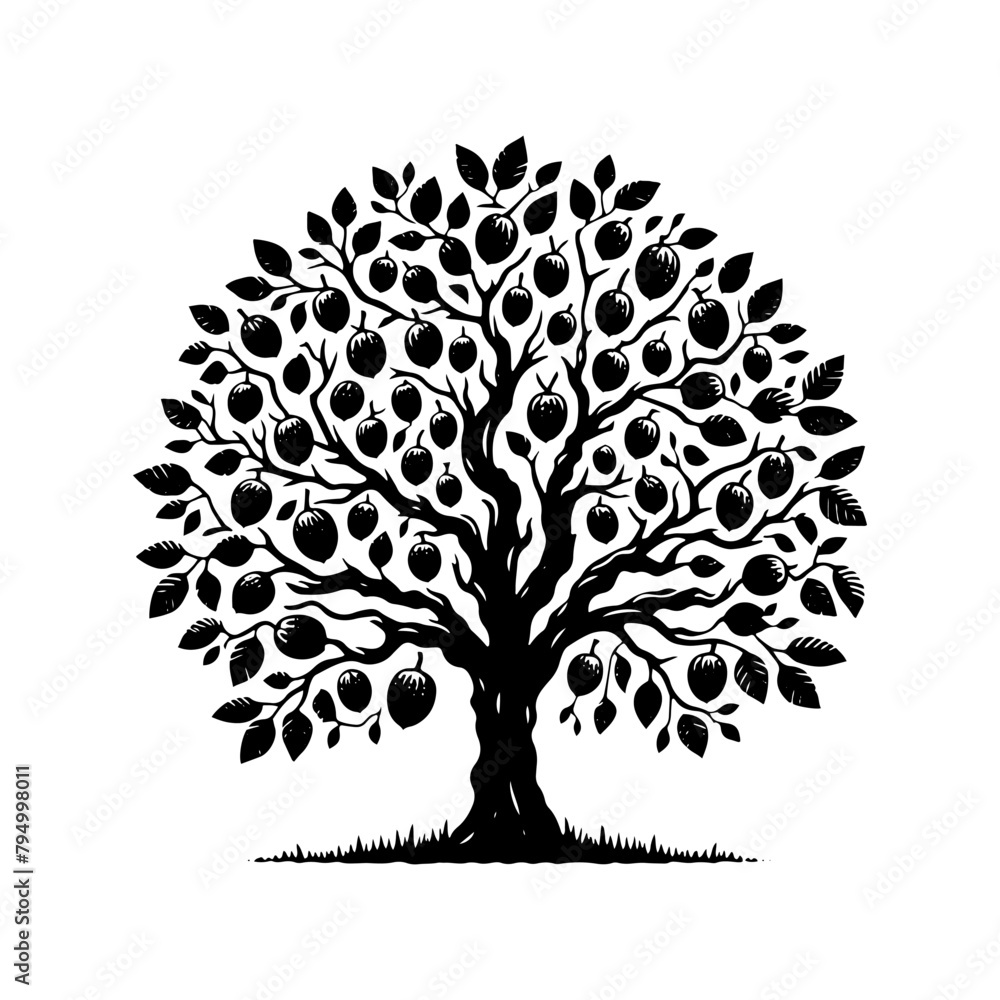 Walnut Tree Vector Silhouette Illustrating the Tranquil Presence of Nature- Nut-Bearing Tree- Walnut Tree Illustration.