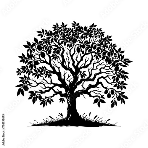 Walnut Tree Vector Silhouette Illustrating the Tranquil Presence of Nature- Nut-Bearing Tree- Walnut Tree Illustration.