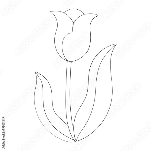 Tulip flower hand drawn vector illustration in line stroke design