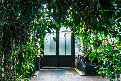 Greenhouse Entrance Amidst Lush Foliage