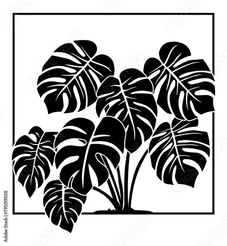 black silhouette of a monstera flower in a square frame without background