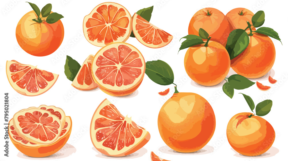Set of ripe grapefruits on white background Vector illustration