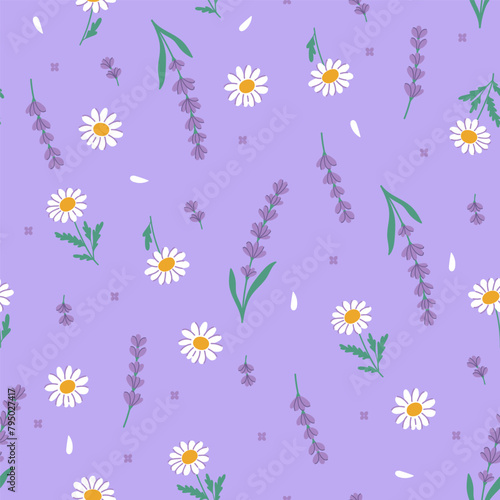Seamless pattern of chamomile and lavender. Vector graphics.
