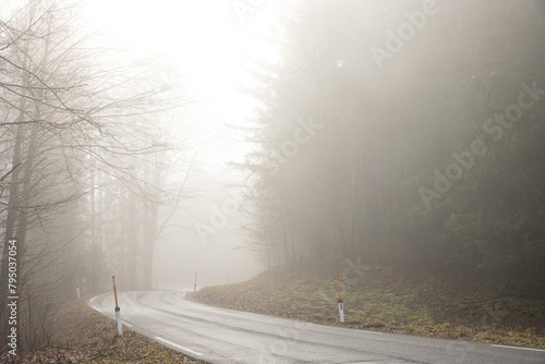vista su di una strada asfaltata che passa attraverso un bosco collinare in Slovenia, completamente coperto da una nebbia fitta, in una mattina, in inverno