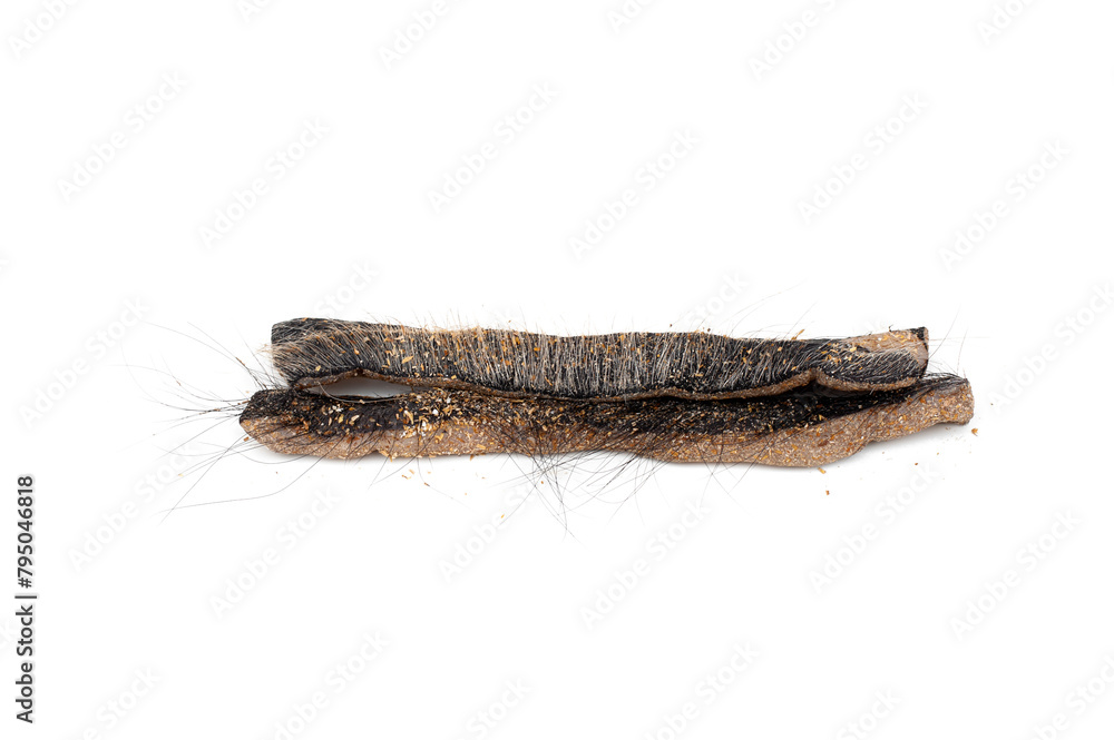 Dried animal hide isolated on white background. Made from the skin of a buffalo or cow by fermentation and then dried. (In Thai it's called Nang Khem)