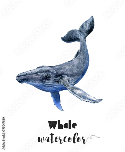 A watercolor painting of a humpback whale in electric blue on a white background