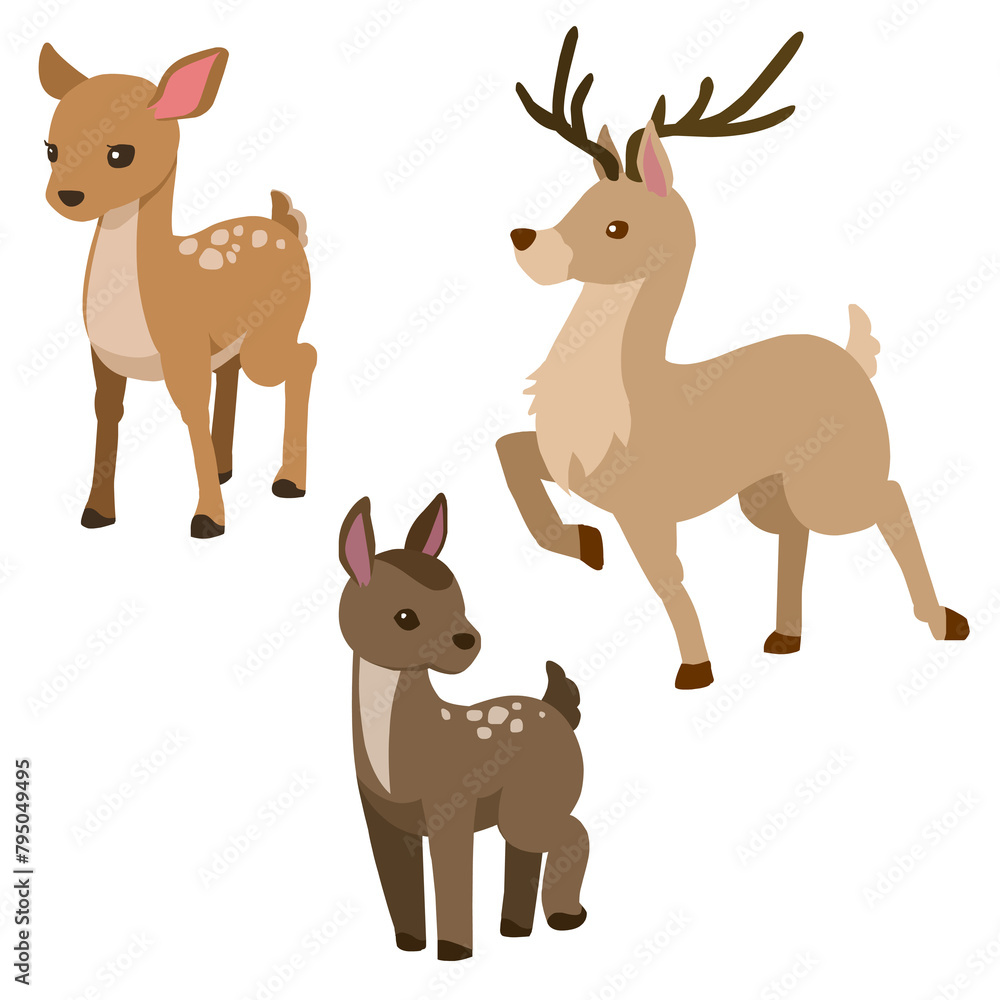 Fototapeta premium set of deer