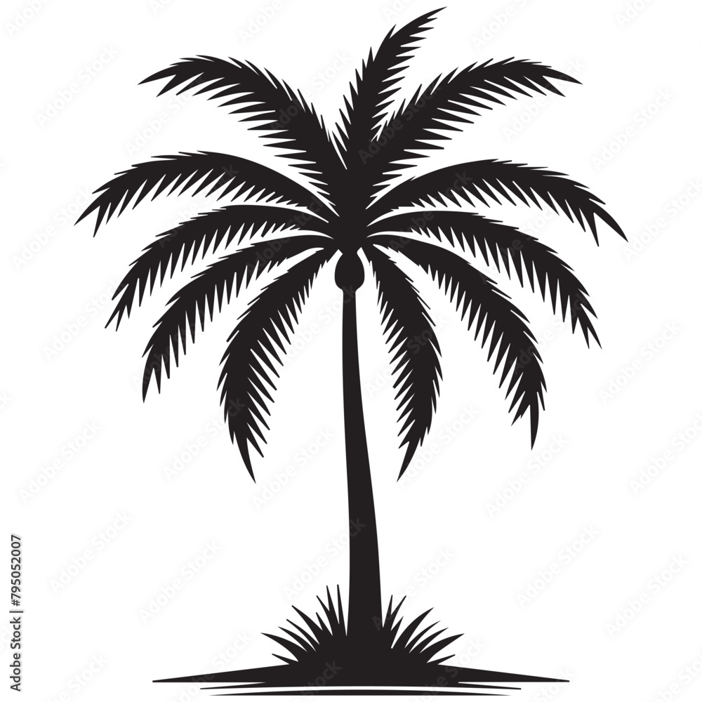 Palm Tree Leaf silhouette Vector Images
