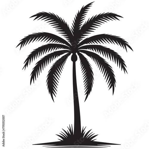 Palm Tree Leaf silhouette Vector Images