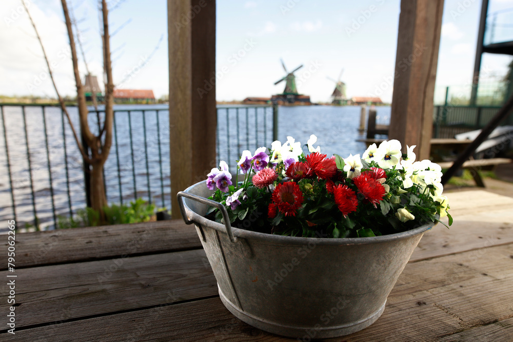 Bouquet of colorful flowers in an aluminum basin on a rustic wooden table, in the background, out of focus, canal with a view of the mills of Zaanse Shans.