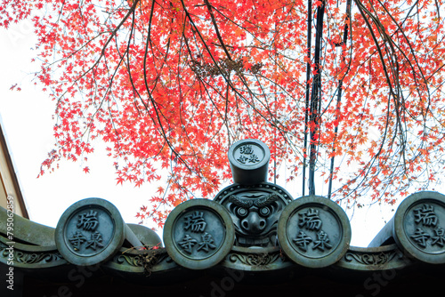 瑞泉寺総門。
紅葉と鬼瓦が素敵である。

日本国神奈川県鎌倉市にて。
2021年12月19日撮影。

二階堂にある瑞泉寺。
鎌倉時代1327年創建。
鎌倉でも随一の花の寺、紅葉の寺として有名。
境内は日本国の史跡に指定され、庭園は日本国の名勝となっている。日本国の重要文化財の坐像なども多くある。
The main gate of Zuisenji Temple.
The autumn leaves photo