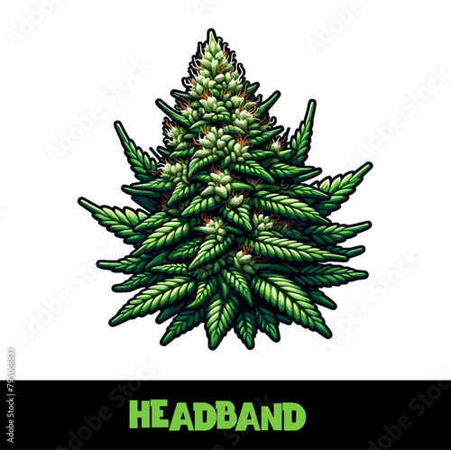 Vector Illustrated Headband Cannabis Bud Strain Cartoon