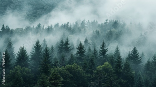 A forest with a lot of trees and fog in the air, AI