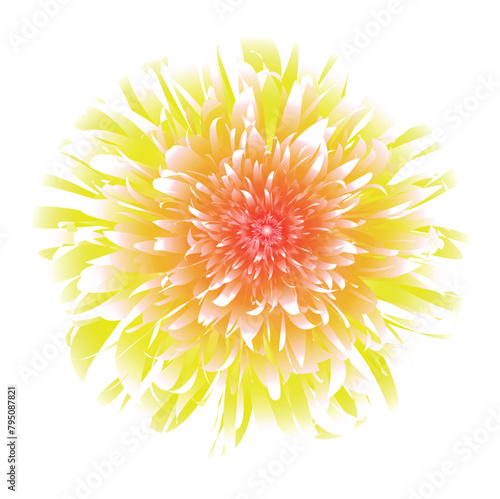 A vibrant flower similar to a chrysanthemum. Multiple layers of petals with a color gradient, with bright yellow on the outer edges and moving into deeper shades of orange and red towards the center