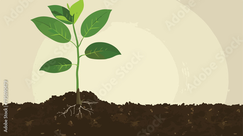 Young tree with leaves planted in the ground vector illustration